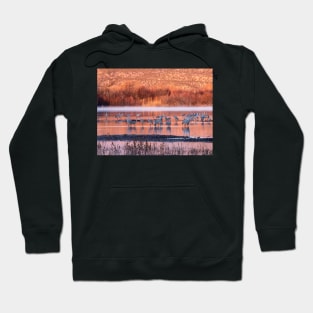 Waking up with morning light Hoodie